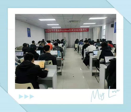 春启新程，技术同行 黑马程序员社区开班啦